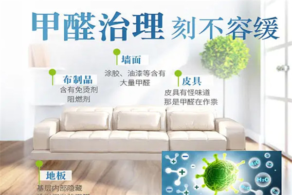 康潔除甲醛加盟