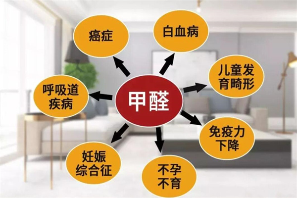 凈GG除甲醛加盟