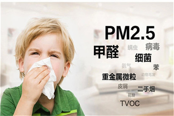 舒安環保空氣凈化加盟