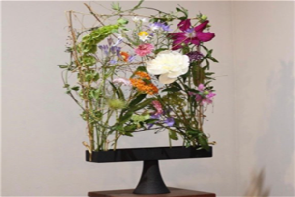 貝特貓鮮花加盟