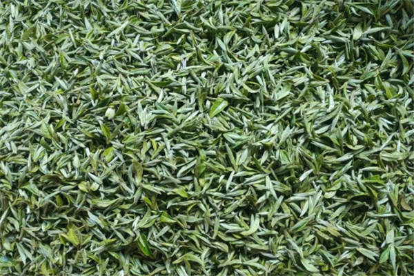 鐵香茶葉加盟