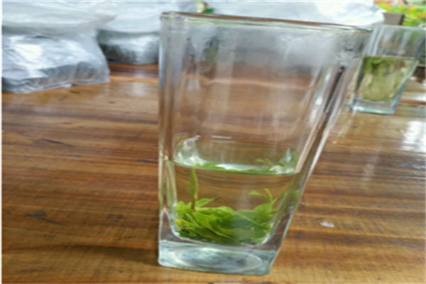 茶者茶業加盟