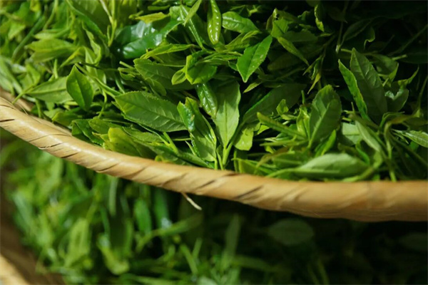 馨尚茶葉加盟