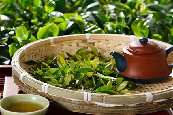 福茗軒茶行