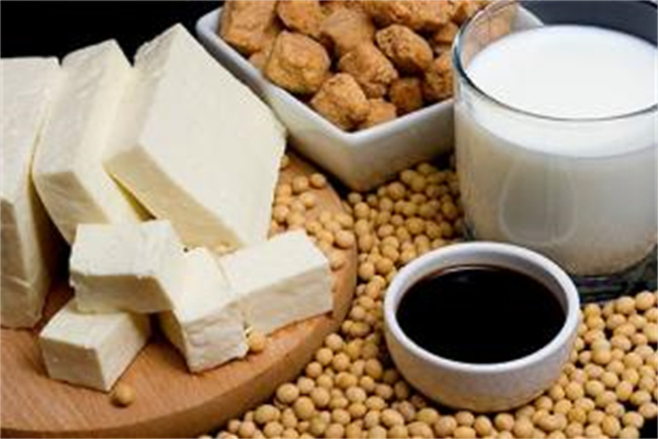 白玉豆制品加盟