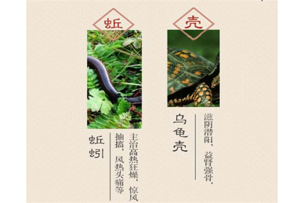 葆源堂加盟