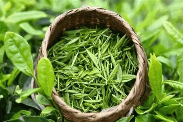 麻姑茶業(yè)加盟
