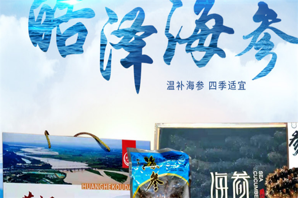 皓澤海參