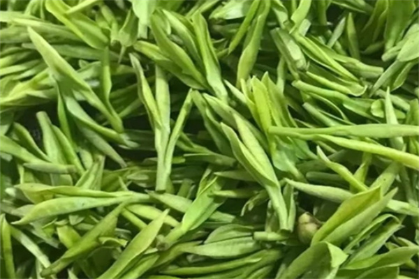 寶祖貢茶加盟