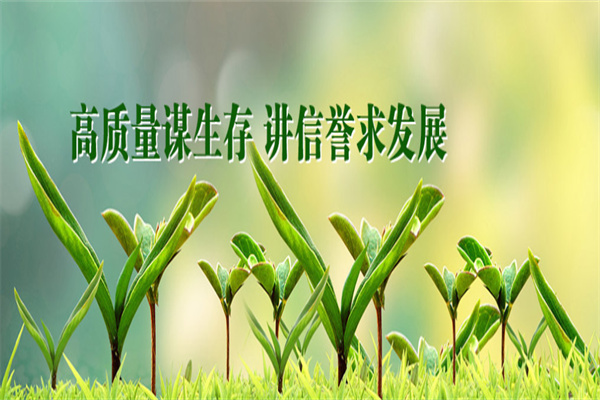 鑫碩蔬菜食品加盟