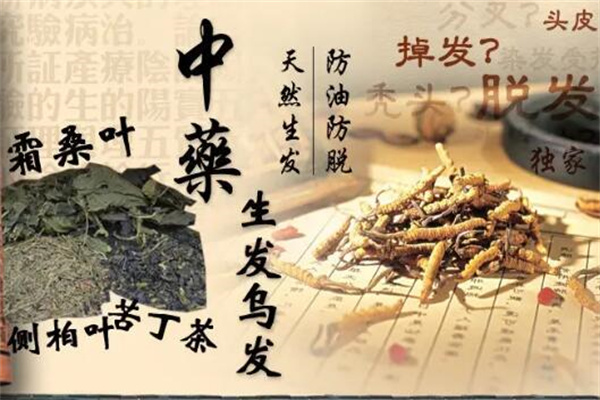嬋絲美中藥養發