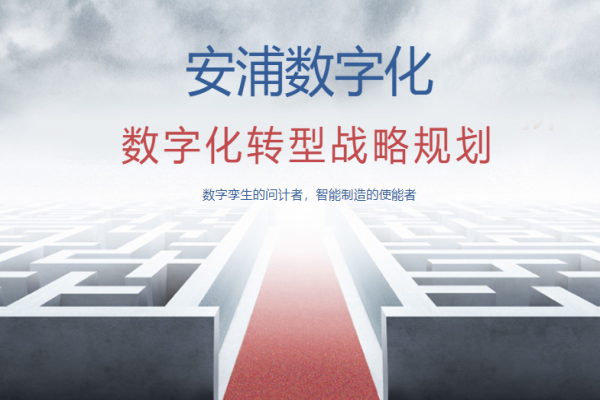 安浦信息加盟
