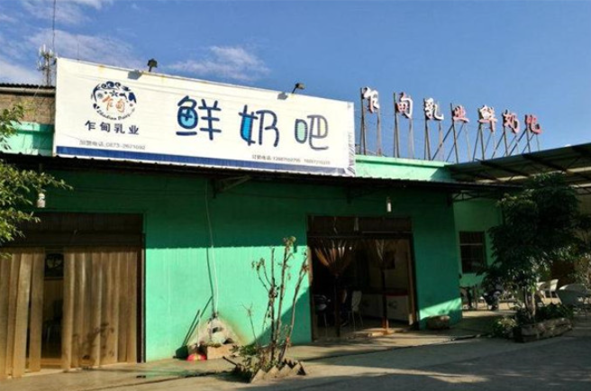 乍甸鮮奶加盟