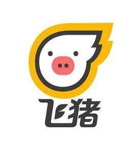 飛豬帶車司機加盟