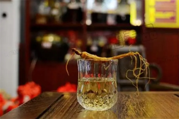 老谷頭養生酒加盟