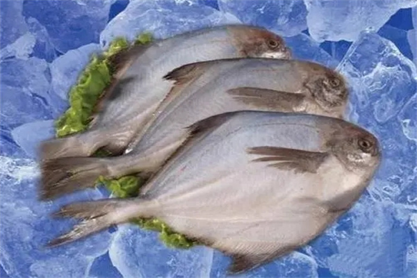 千家匯海鮮零食加盟