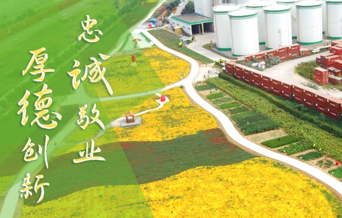 愛(ài)菊豆制品加盟
