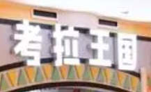 考拉王國兒童樂園加盟