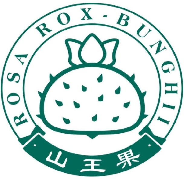 山王果加盟