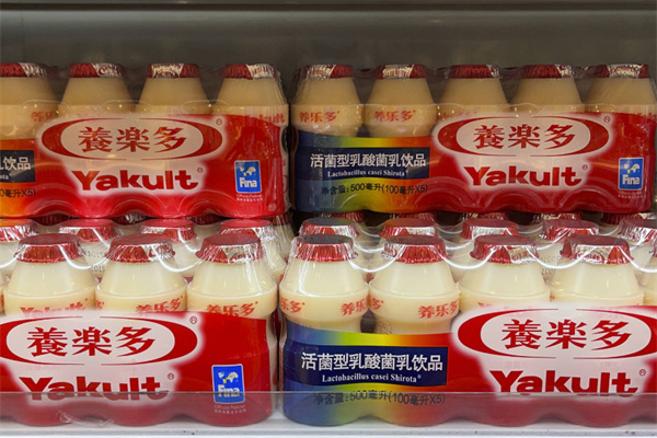 養樂多乳酸菌飲品加盟