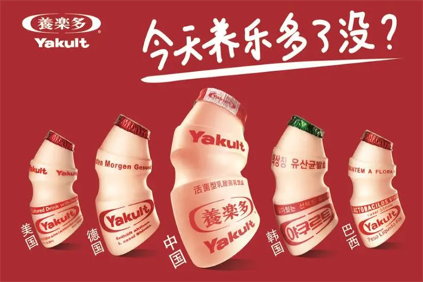 養樂多乳酸菌飲品加盟