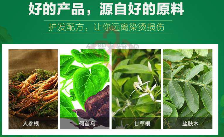 五貝子天然染發加盟