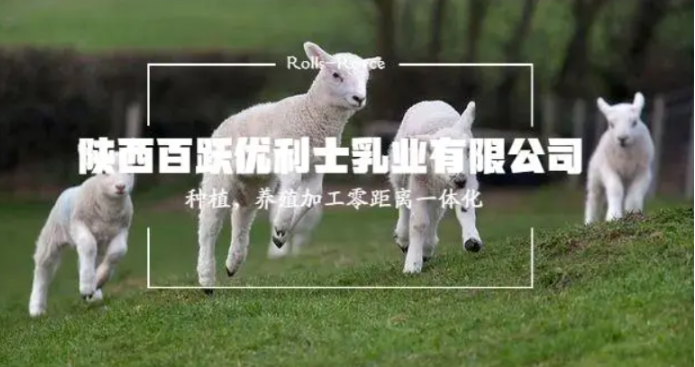 優利士羊奶加盟