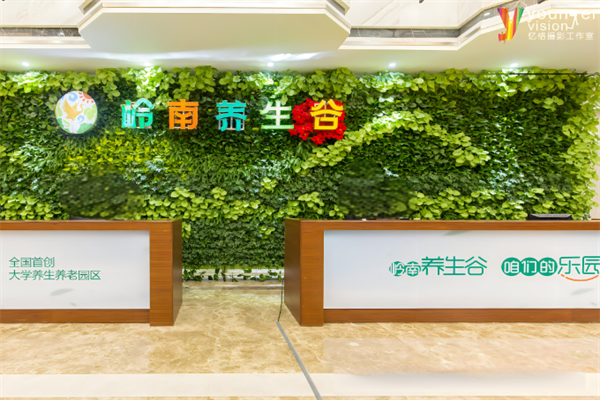 嶺南養生谷加盟
