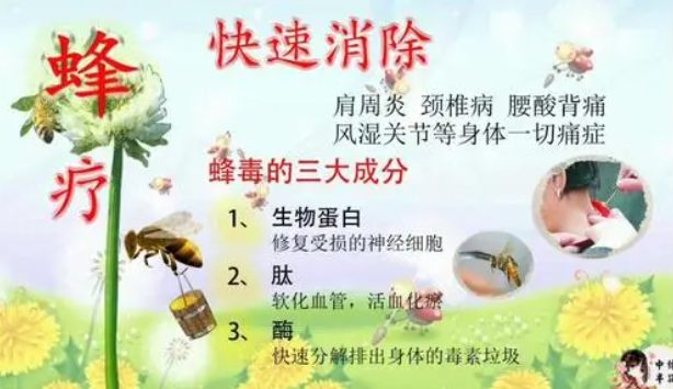 雅泉蜂療養生加盟