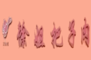 徐姐把子肉加盟