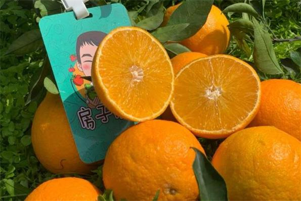 房子優果水果