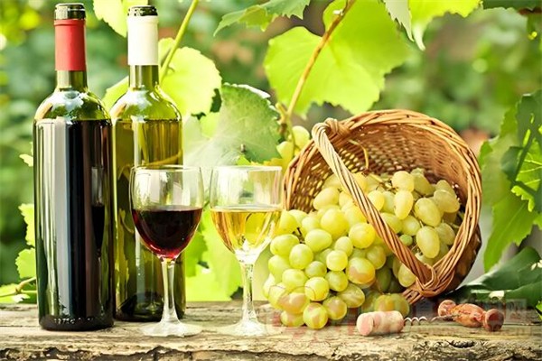 杰克賓利葡萄酒加盟