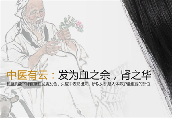 首贊臣頭療養生加盟