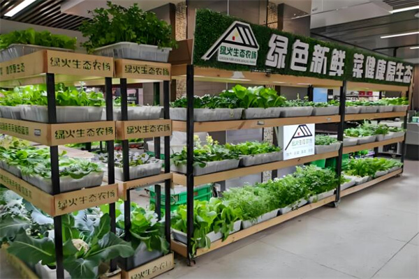 小螞蟻生鮮連鎖店加盟