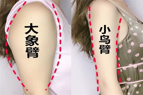 俏蘭妃減肥