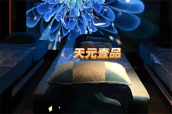 天元壹品養生