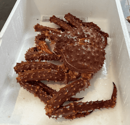 蟹食客海鮮燜鍋：探秘深海之味