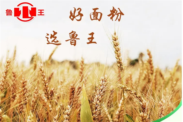 魯王面粉加盟