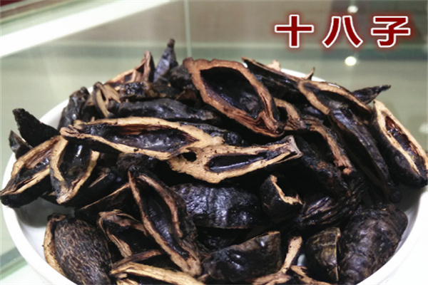 十八子檳榔加盟