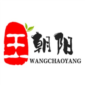 王朝陽(yáng)牛肉湯加盟