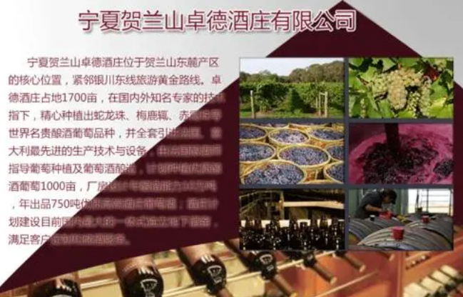 卓德酒莊加盟