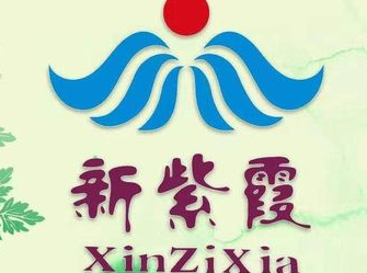 新紫霞養(yǎng)生會所加盟