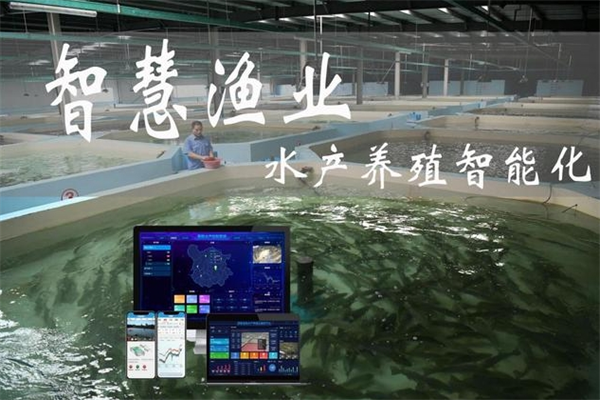 智慧水產(chǎn)養(yǎng)殖加盟