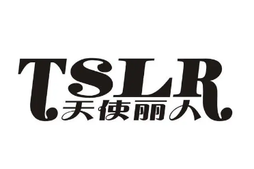天使麗人美容養生會所加盟