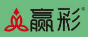 贏彩藝術漆加盟