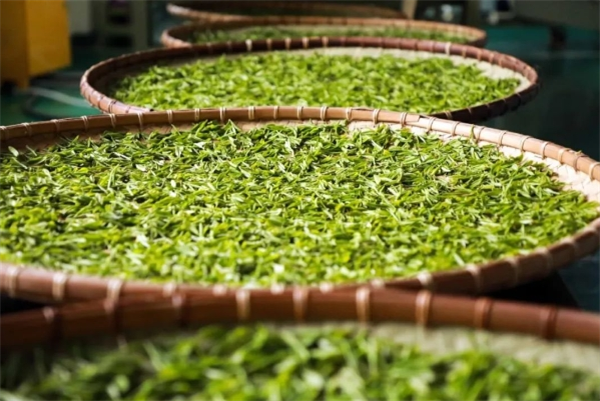 妙山茶業加盟