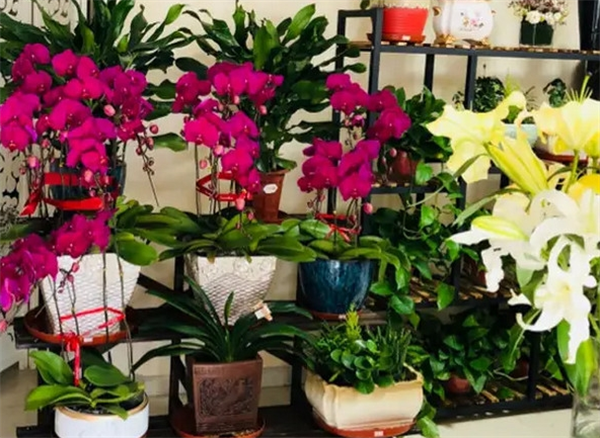 太陽雨花店加盟