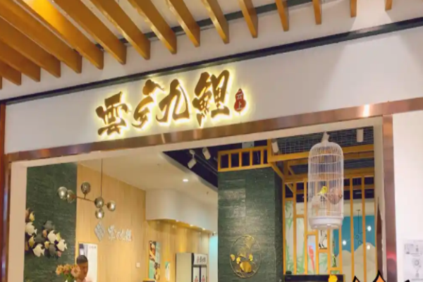 云鄉九鯉石鍋魚加盟