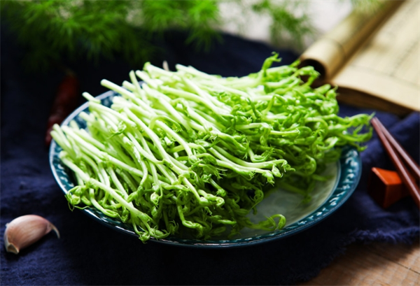 尚源新農業芽苗菜加盟