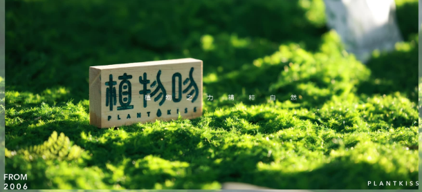 植物吻染發加盟
